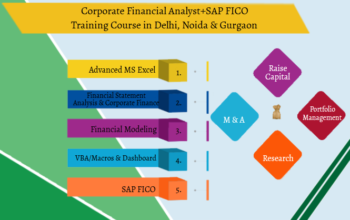 Financial Modelling Course in Delhi,110053. Best Online Live Financial Analyst Training in Banaras