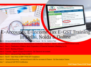 Job Oriented Accounting Course in Delhi, 110073, [GST Update 2024] by SLA. GST and Accounting Instit