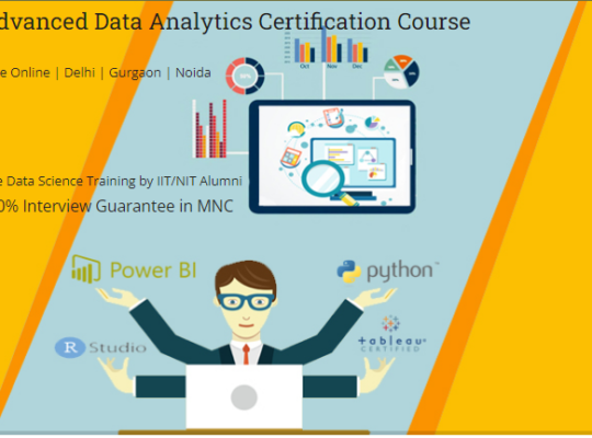 Data Analyst Course with Placement Support in Delhi, 110073 – “New Year Offer 2025”
