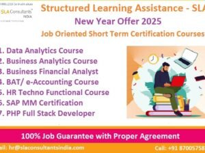 Data Analyst Course in Delhi, 110085. Certification for “Online Data Analyst Course”, 100% Job