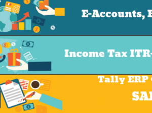 The Future of Accounting Careers: Job Prospects & Skills Needed in 2025, 100% Job, Accounting Course