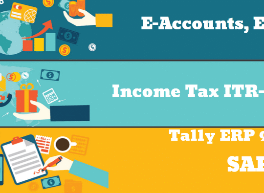 The Future of Accounting Careers: Job Prospects & Skills Needed in 2025, 100% Job, Accounting Course